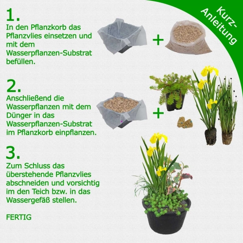 Gründe H2O-Pflanze
